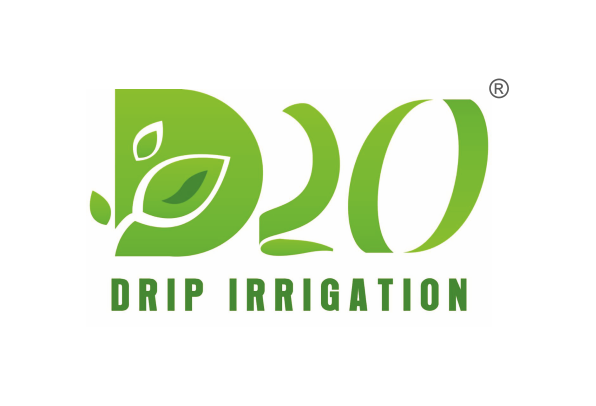 D20 logo