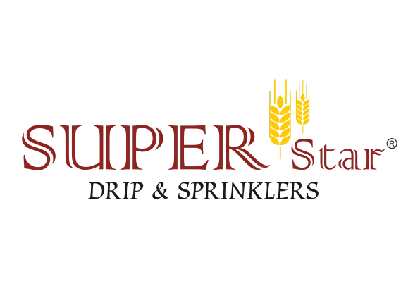 imgi_4_superstar-logo